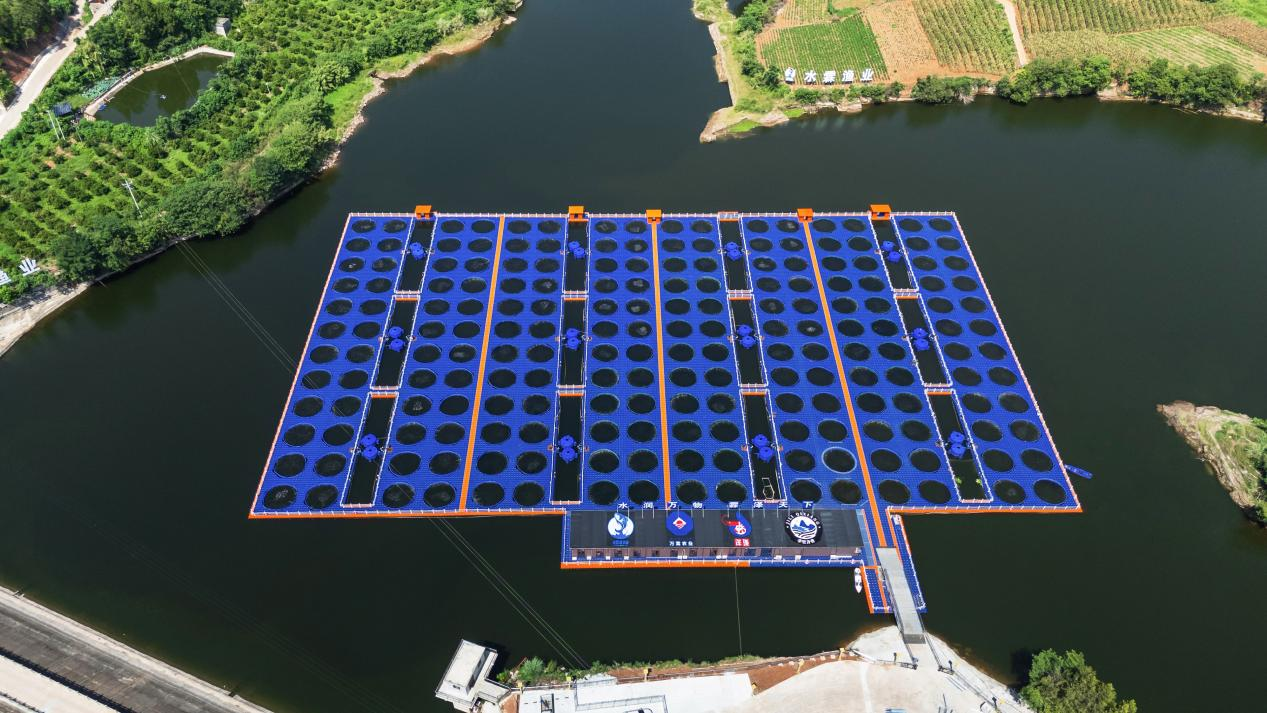 1762912550996558.png 图片3.png